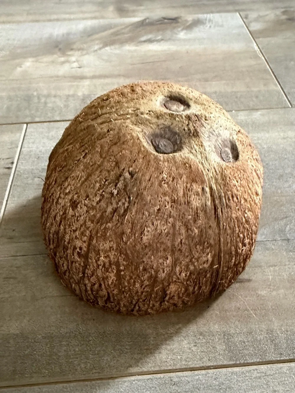Coconut Hut